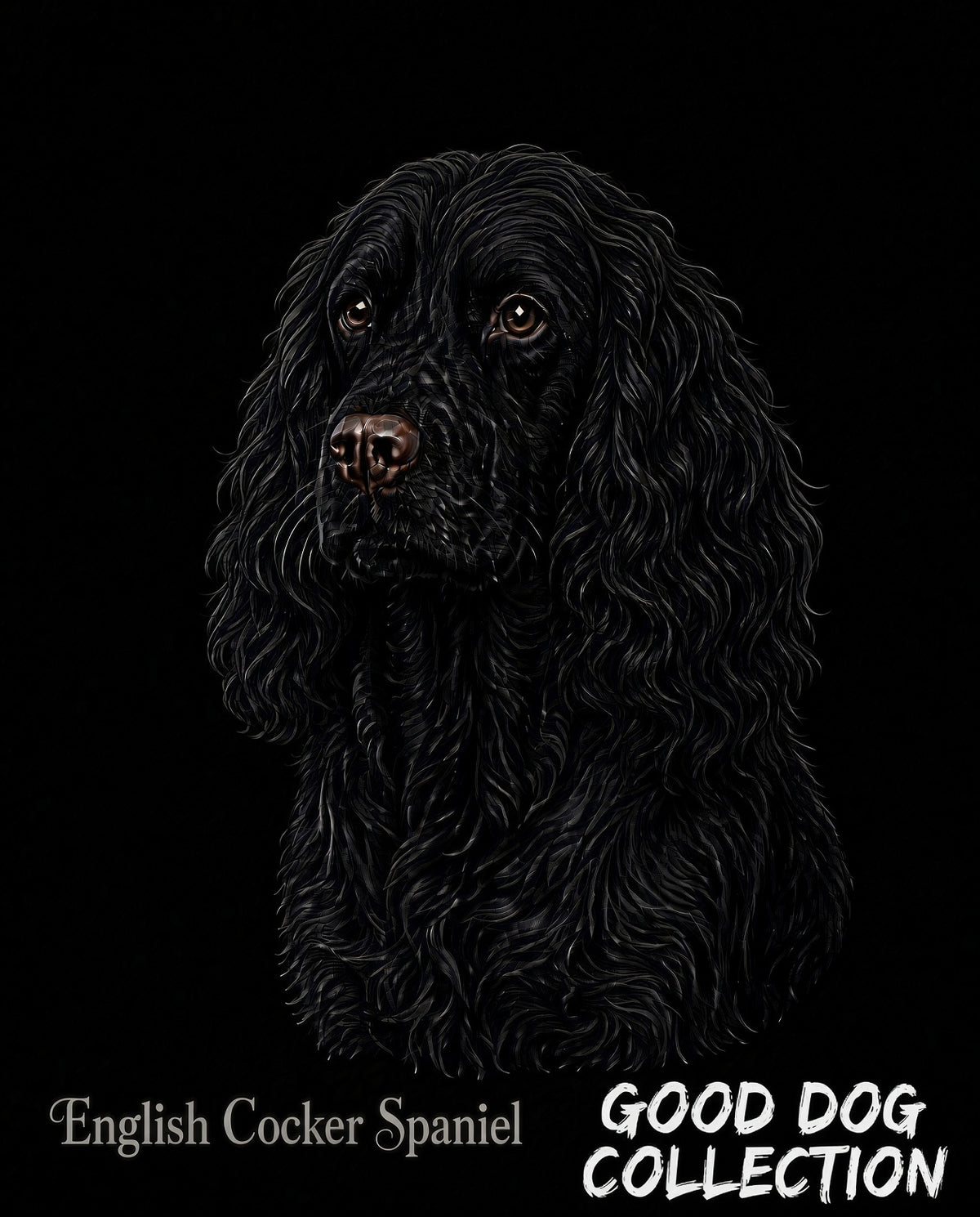 English Cocker Spaniel- Black