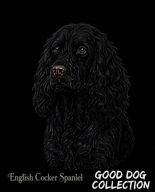 English Cocker Spaniel- Black