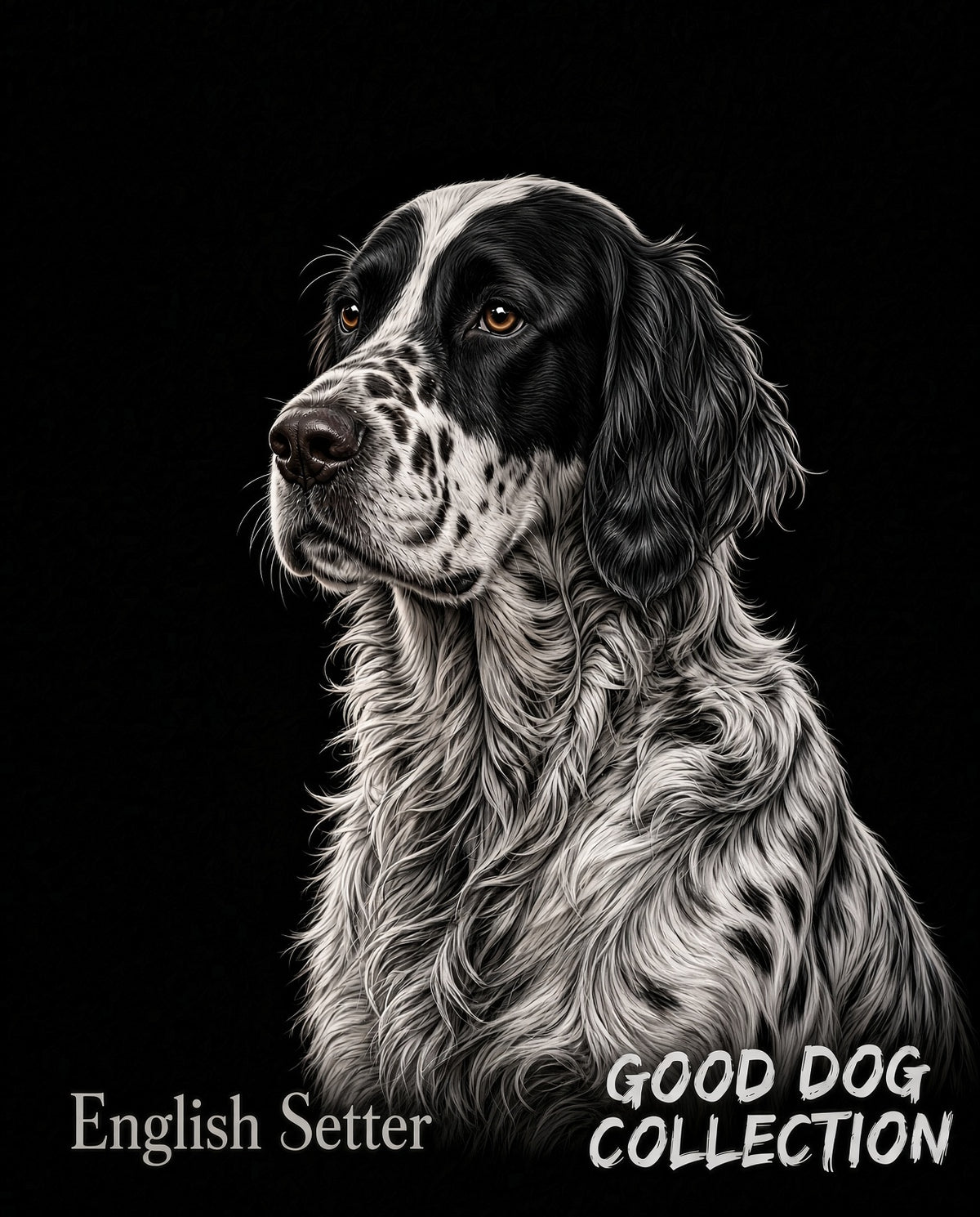 English Setter